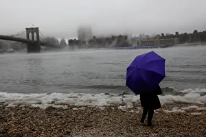 A woman stands at Brooklyn Bridge Park with a purple umbrella as fog partially covers the A woman stands at Brooklyn Bridge Park with a purple umbrella as fog partially covers the