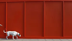 A woman walks her dog past a wall near the seafront in Brighton A woman walks her dog past a wall near the seafront in Brighton