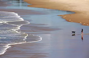 A woman walks with her dog into the surf at Fingal Beach, south of the Queensland A woman walks with her dog into the surf at Fingal Beach, south of the Queensland