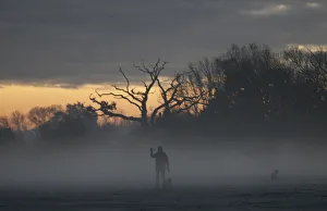 A woman walks dogs through morning mist in Quorn A woman walks dogs through morning mist in Quorn