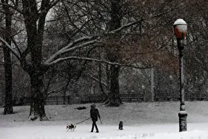 A woman walks dogs in Riverside Park during a snowstorm in upper Manhattan in New York A woman walks dogs in Riverside Park during a snowstorm in upper Manhattan in New York