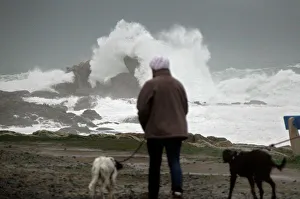 A woman walks her dogs as waves break on the Brittany coast after storm Eleanor hit A woman walks her dogs as waves break on the Brittany coast after storm Eleanor hit