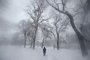 Seasons Gallery: A woman walks down a road in blizzard conditions in Chicago