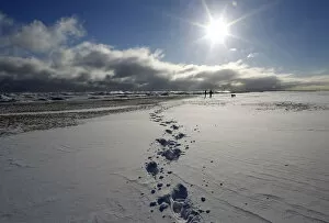 Weather Gallery: Two women walk their dogs along a frozen snow covered beach in Chicago