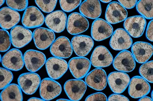 Wood-cased pencils are pictured during their production at Faber-Castell manufacturer in Wood-cased pencils are pictured during their production at Faber-Castell manufacturer in