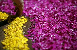 Images Dated 19th June 2011: A worker adds the finishing touches floral decorations along the main street of Genzano