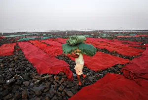 A worker carries carpets used for wedding functions to be washed along the Arabian Sea in A worker carries carpets used for wedding functions to be washed along the Arabian Sea in