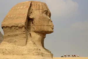 A worker rides his camel as he waits for tourists in front of the Sphinx at the Giza A worker rides his camel as he waits for tourists in front of the Sphinx at the Giza