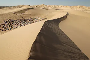 Juarez Gallery: Yoga enthusiasts take part in a class at the Samalayuca dunes