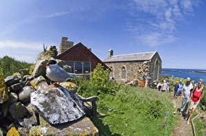 Images Dated 8th July 2005: Arctic Tern & visitors on Inner Farne Farne Islands Northumberland summer