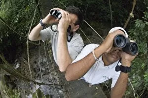 Images Dated 26th November 2005: Birding in foothill rainforest El Valle Panama