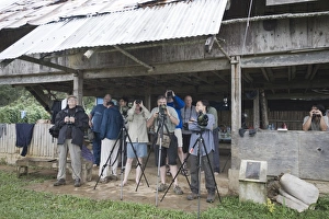 Birding at lodge on Mt Kitanglad on Mindanao Philippines Birding at lodge on Mt Kitanglad on Mindanao Philippines