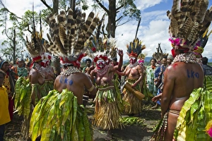 Cultural group from Mt Hagen dancing at a Sing-sing - Mt Hagen Show in Western Highlands Cultural group from Mt Hagen dancing at a Sing-sing - Mt Hagen Show in Western Highlands