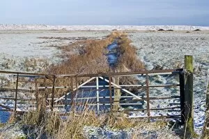 Images Dated 2nd January 2010: Dyke across Kelling Quags Kelling Norfolk winter