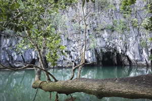 Entrance to the Puerto Princesa Subterranean River National Park on Palawan Philippines Entrance to the Puerto Princesa Subterranean River National Park on Palawan Philippines