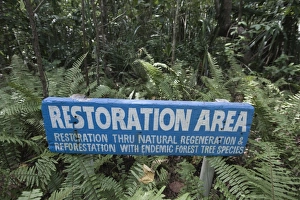 Forest regeneration in Puerto Princesa Subterranean River National Park Nr Sabang Forest regeneration in Puerto Princesa Subterranean River National Park Nr Sabang