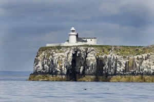 Inner Farne, Farne Islands Northumberland summer Inner Farne, Farne Islands Northumberland summer