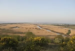 Reedbed Gallery: Minsmere RSPB Reserve viewed from Dunwich Heath Suffolk April