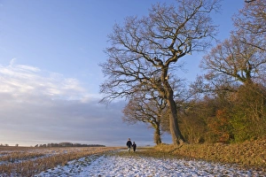 Mother and son walking in snow Norfolk December Mother and son walking in snow Norfolk December