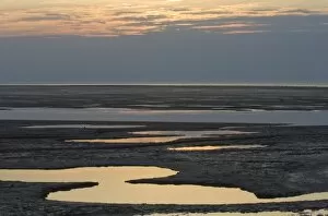 Images Dated 12th September 2006: Mudflats on The Wash off Snettisham Norfolk