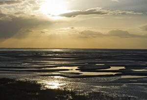 Images Dated 12th February 2011: The mudflats of the Wash viewed from Snettisham RSPB Reserve Norfolk winter