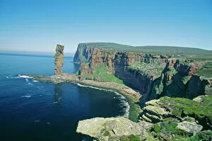 Cliff Gallery: Old Man of Hoy, Hoy, Orkney, Scotland, summer