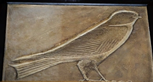Plaster cast of an Ancient Egyptian heiroglyph Swallow Plaster cast of an Ancient Egyptian heiroglyph Swallow