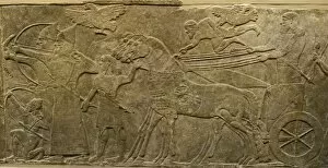 A scultured relief from the walls of the North West Palace in Nimrud the Assyrian