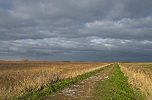 Stormy sky over the East Bank at Cley Norfolk winter Stormy sky over the East Bank at Cley Norfolk winter