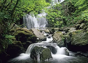 Torc Waterfall Killarney Co Kerry Ireland spring Torc Waterfall Killarney Co Kerry Ireland spring