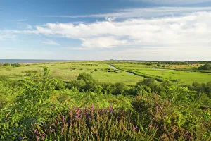 View across Minsmere RSPB Reserve from Dunwich Suffolk July View across Minsmere RSPB Reserve from Dunwich Suffolk July