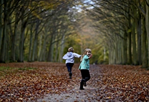 Young boy and girl playing in woodland in autumn Norfolk UK Young boy and girl playing in woodland in autumn Norfolk UK