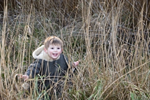 young boy playing hide and seek in reeds Norfolk winter young boy playing hide and seek in reeds Norfolk winter