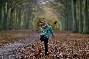 Young girl kicking fallen leaves in woodland Norfolk UK Young girl kicking fallen leaves in woodland Norfolk UK