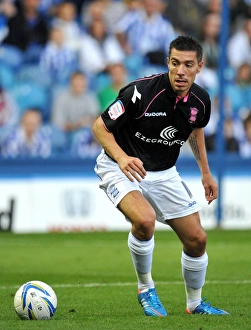 npower Football League Championship - Sheffield Wednesday v Birmingham City - Hillsborough npower Football League Championship - Sheffield Wednesday v Birmingham City - Hillsborough