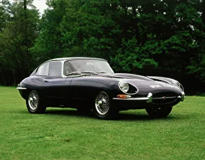 Grass Gallery: 1968 Jaguar E type