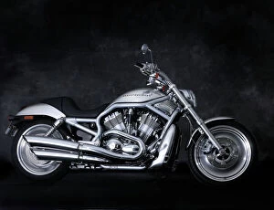 Motorbikes Collection: Harley Davidson V Rod 2002