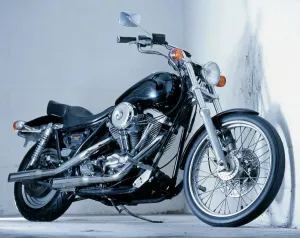 Harley-Davidson Prints: Harley-Davidson Print