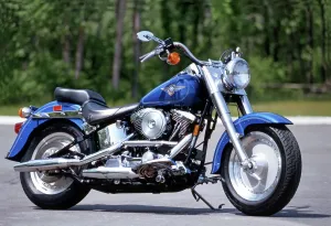Harley-Davidson Prints: Harley-Davidson Fat Boy Print