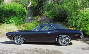 Modified Collection: Dodge Challenger America