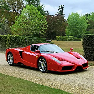 Ferrari Enzo Red Print