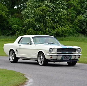 Images Dated 9th June 2013: Ford Mustang 1966 White blue stripes