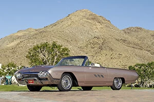 Images Dated 19th November 2005: Ford Thunderbird 1956 gold