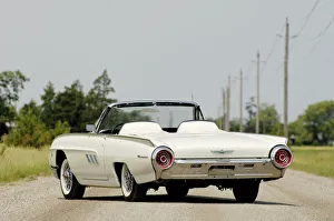 Poles Gallery: Ford Thunderbird America