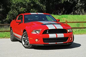 Muscle Gallery: Headline: 2010 Ford Shelby Mustang GT500