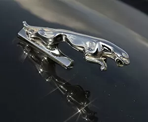 Mascot Gallery: Jaguar XJS