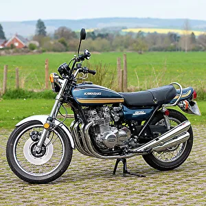ミッシェルページ kawasaki-z9001974blueand-gold-