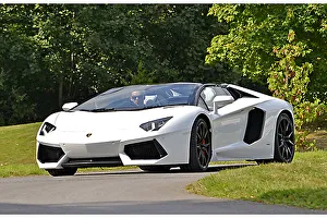 Lamborghini Aventador Roadster 2013 White & black Lamborghini Aventador Roadster 2013 White & black