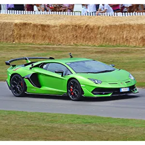 Lamborghini Aventador SVJ Coupe (at G'wood FOS 2019) 2019 Green metallic Lamborghini Aventador SVJ Coupe (at G'wood FOS 2019) 2019 Green metallic