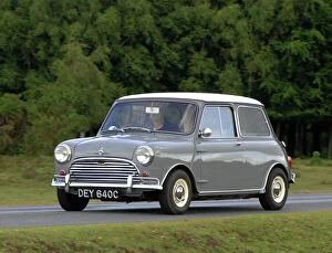 Mini Collection: Morris Mini Coopers 1965